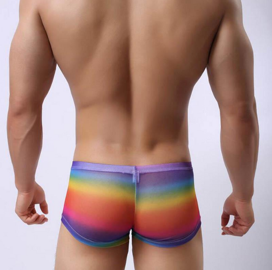 Rainbow Gradient Mesh Boxer Briefs