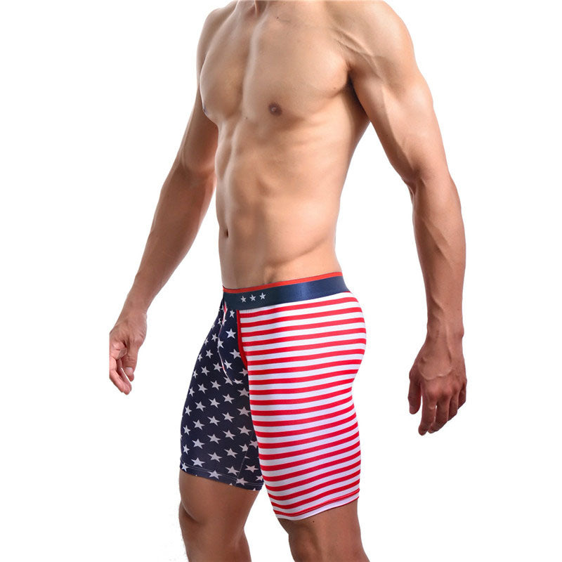 American flag print panties